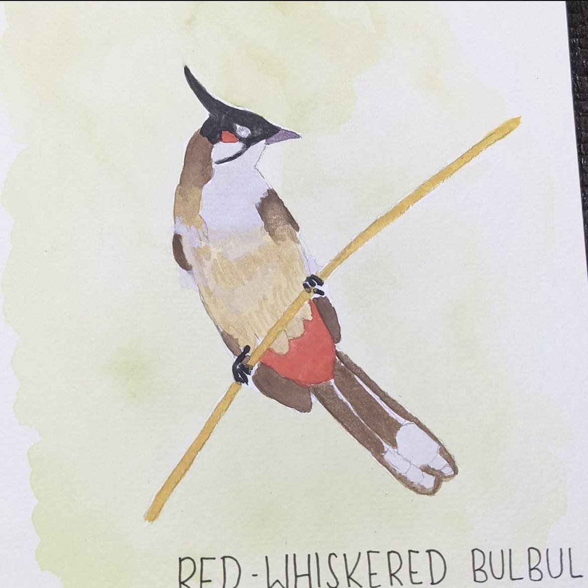 6ABD059D-AF17-41BC-B556-E7ED3B8E380B_1_201_a